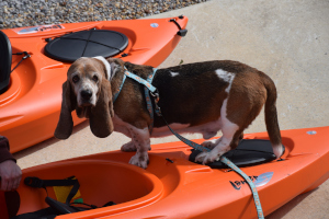 Flash Kayaking